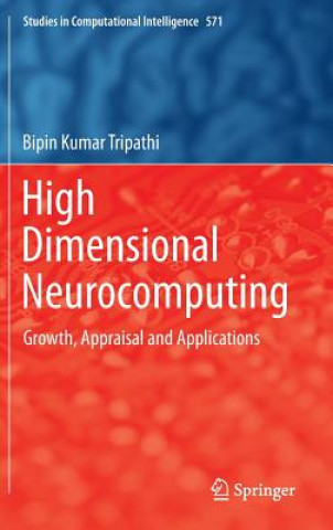 High Dimensional Neurocomputing