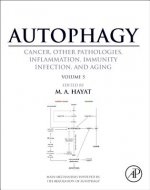 Autophagy: Cancer, Other Pathologies, Inflammation, Immunity, Infection, and Aging