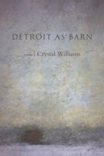 Detroit as Barn