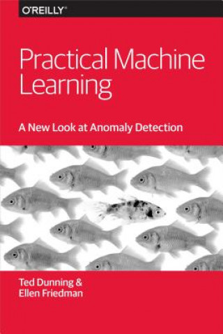 Practical Machine Learning - A New Look at Anomaly  Detection