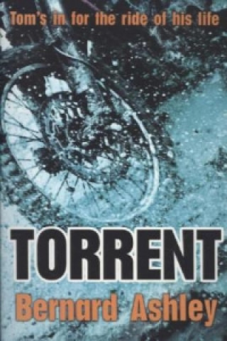 Torrent