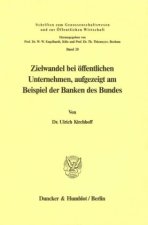 Zielwandel bei öffentlichen Unternehmen, aufgezeigt am Beispiel der Banken des Bundes.