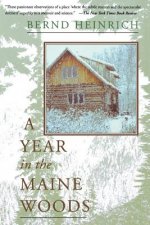 Year in the Maine Woods