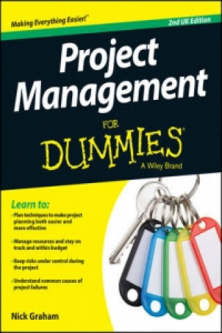 Project Management for Dummies 2e UK