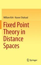 Fixed Point Theory in Distance Spaces