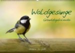 Waldgesänge - Geburtstagskalender (Wandkalender immerwährend DIN A2 quer)