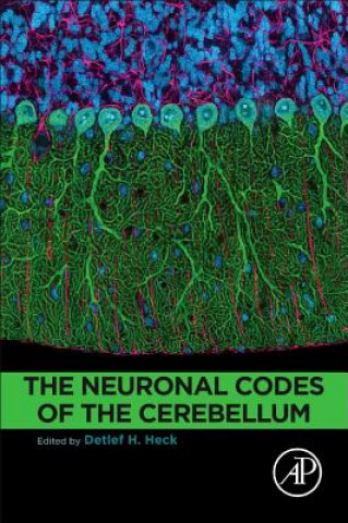 Neuronal Codes of the Cerebellum