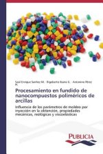 Procesamiento en fundido de nanocompuestos polimericos de arcillas