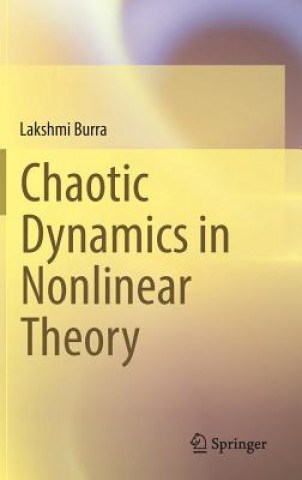 Chaotic Dynamics in Nonlinear Theory