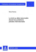 Droit Au Delai Raisonnable Devant Les Juridictions Penales Internationales