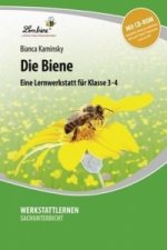 Die Biene, m. 1 CD-ROM