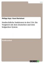 Strafrechtliche Sanktionen in den USA. Ein Vergleich mit dem deutschen und dem belgischen System
