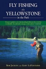 Fly Fishing the Yellowstone in the Park