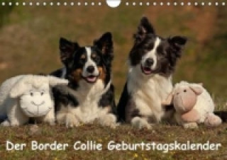 Der Border Collie Geburtstagskalender (Wandkalender immerwährend DIN A4 quer)