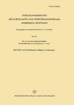 Kultur Von Scenedesmus Obliquus in Abwasser