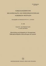 Hoerermudung Und Adaptation Im Tierexperiment Elektrophysiologische Untersuchungen Am Innenohr