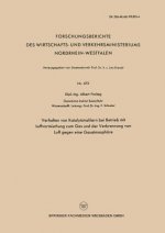 Verhalten Von Katalytstrahlern Bei Betrieb Mit Luftvormischung Zum Gas and Der Verbrennung Von Luft Gegen Eine Gasatmosphare