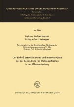 Einflu  Chemisch Aktiver Und Inaktiver Gase Bei Der Behandlung Von Stahloberfl chen in Der Glimmentladung