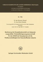 Bestimmung Des Energiekostenanteils Am Listenpreis Ausgewahlter Walzstahlfertigerzeugnisse ALS Mass Fur Den Einfluss Der Energiepreise Auf Die Wettbew