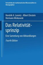 Das Relativitatsprinzip