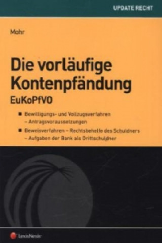 Die vorläufige Kontenpfändung