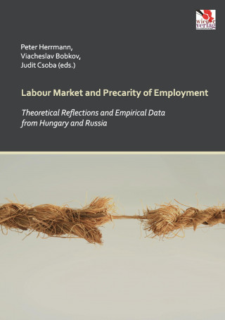 Labour Market and Precarity of Employment: