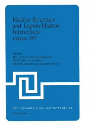 Hadron Structure and Lepton-Hadron Interactions