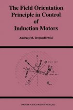 The Field Orientation Principle in Control of Induction Motors, 1