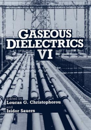 Gaseous Dielectrics VI