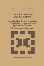 Introduction to the Quantum Yang-Baxter Equation and Quantum Groups: An Algebraic Approach, 1