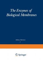 Enzymes of Biological Membranes