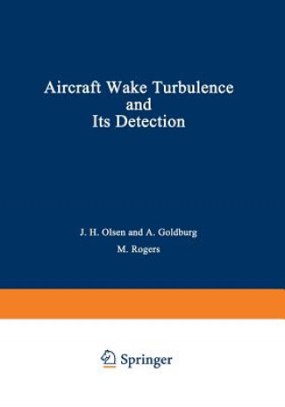 Aircraft Wake Turbulence and Its Detection