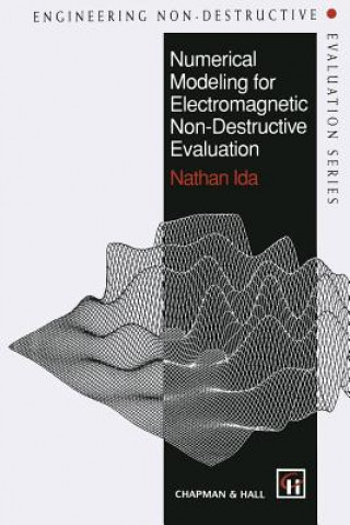 Numerical Modeling for Electromagnetic Non-Destructive Evaluation