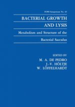 Bacterial Growth and Lysis