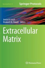 Extracellular Matrix, 1