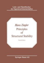 Principles of Structural Stability