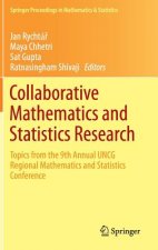 Collaborative Mathematics and Statistics Research