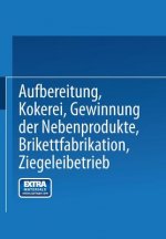 Aufbereitung, Kokerei, Gewinnung Der Nebenprodukte, Brikettfabrikation, Ziegeleibetrieb