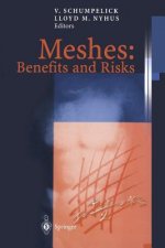Meshes: Benefits and Risks, 1