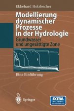 Modellierung dynamischer Prozesse in der Hydrologie, 1
