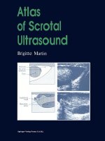 Atlas of Scrotal Ultrasound, 1