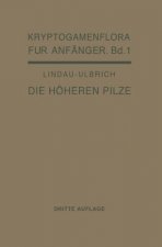 Die Hoeheren Pilze