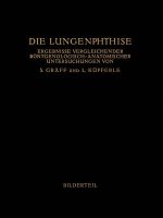 Die Lungenphthise