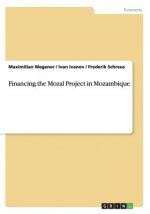 Financing the Mozal Project in Mozambique