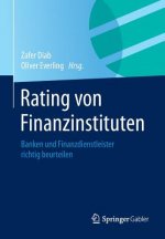 Rating Von Finanzinstituten