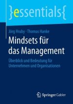 Mindsets fur das Management