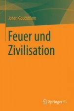 Feuer und Zivilisation