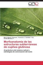 Morfoanatomia de las estructuras subterraneas de cuphea glutinosa