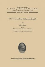 UEber verschiedene Differentenbegriffe