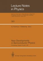 New Developments in Semiconductor Physics, 1